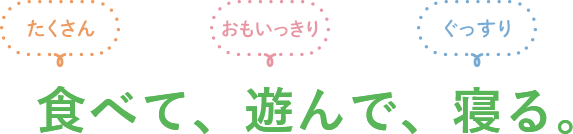 食べて、遊んで、寝る